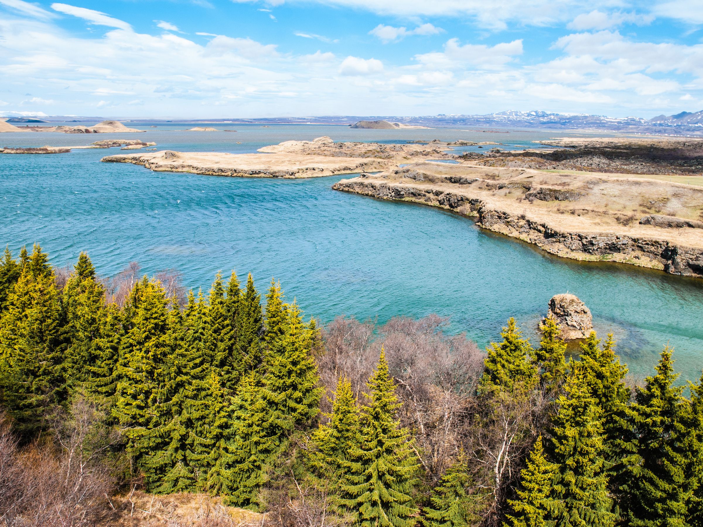 an aerial view of a lake surrounded by trees and mountains at lake myvatn in north iceland.
