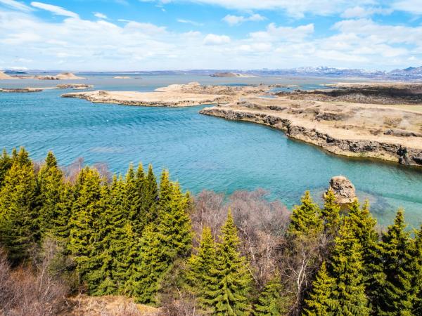 an aerial view of a lake surrounded by trees and mountains at lake myvatn in north iceland.