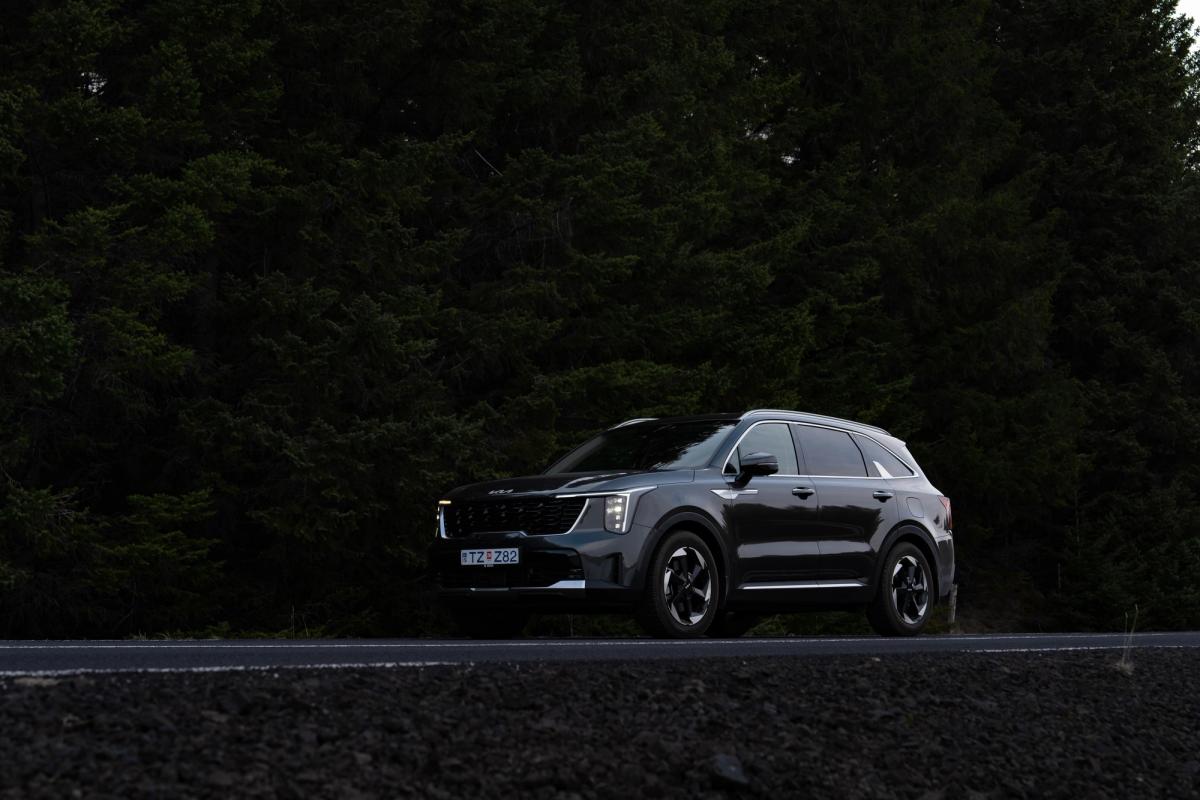 SUV Kia Sorento de location en Islande, garé sur une route en bordure d’une forêt dense