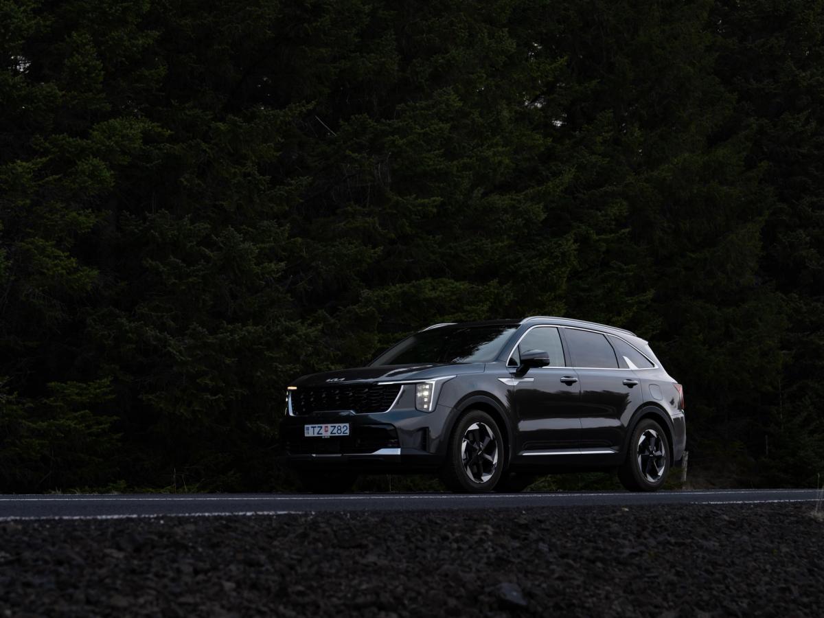 Forêt avant de Sorento SUV Kia Sorento de location en Islande, garé sur une route en bordure d’une forêt dense