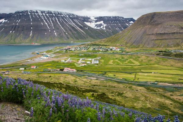 a view of a valley with a lake and mountains in the background at ísafjörður in iceland.