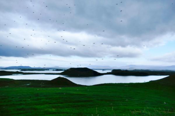 A swarm of small flying insects fills a cloudy sky above a lake with green hills.
