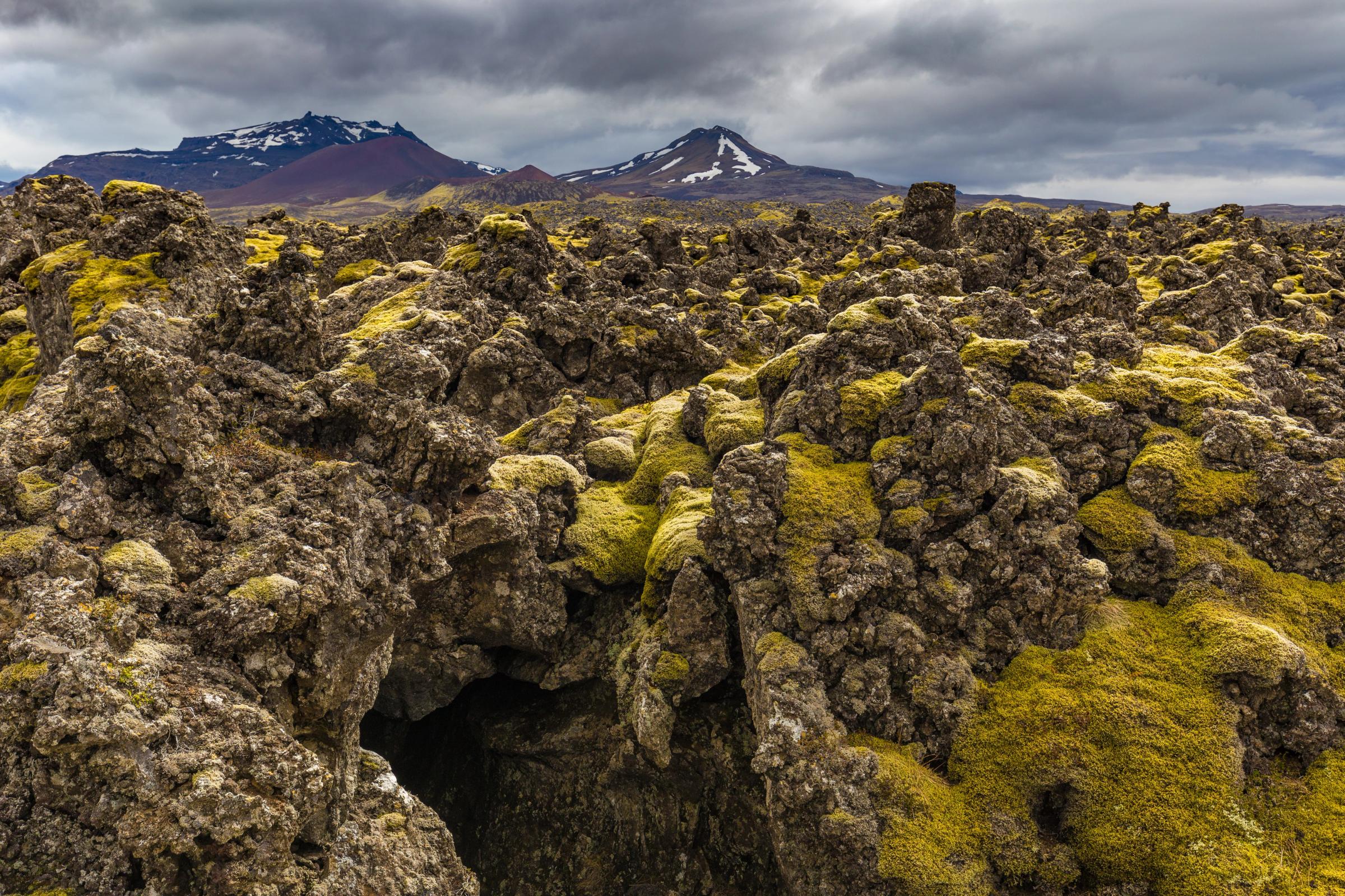 Rugged, moss-covered lava field with a cave opening in the foreground, under a cloudy sky with snow-capped mountains in the distance.