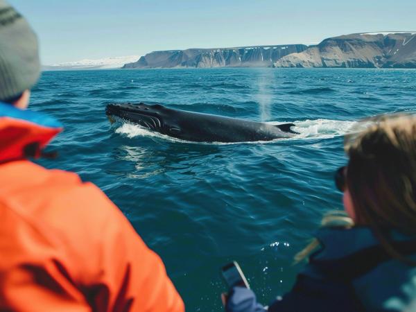 Pareja viendo una ballena en Islandia