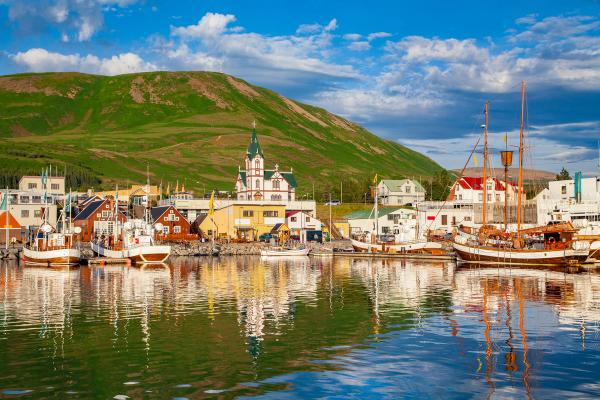 a row of boats are docked in a harbor with a mountain in the background .