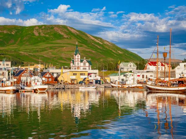 una fila de barcos está amarrada en un puerto con una montaña de fondo.