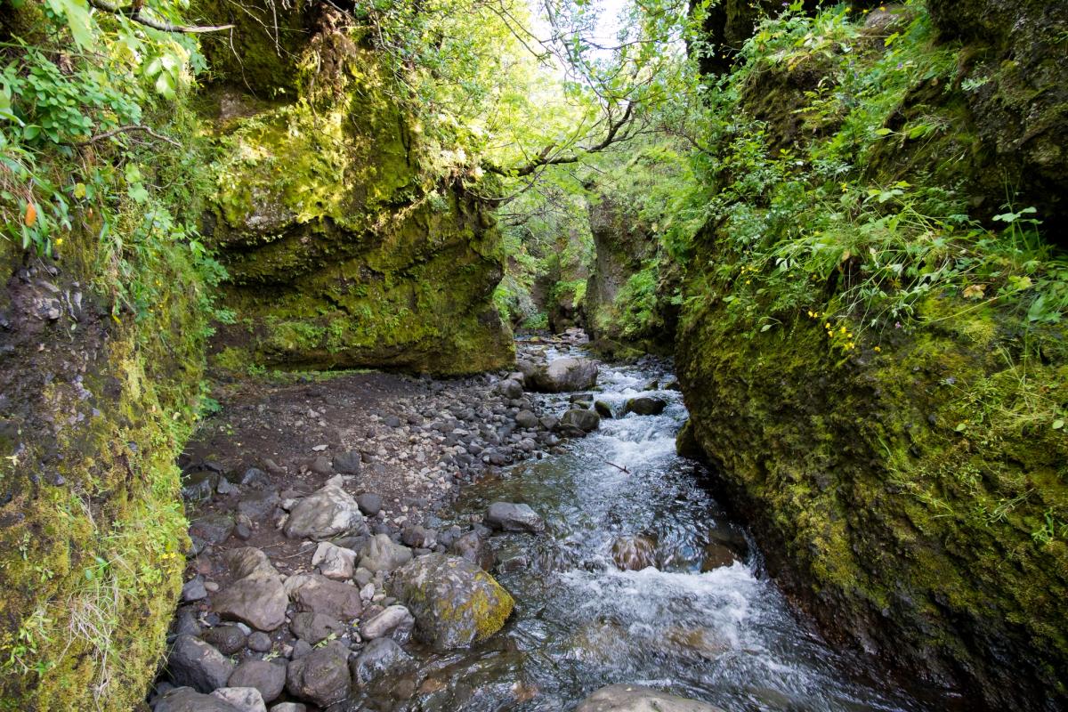 A rocky stream flows through a narrow gorge with steep, moss-covered walls.