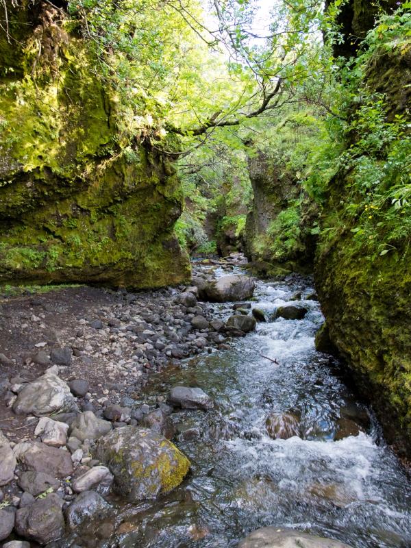 A rocky stream flows through a narrow gorge with steep, moss-covered walls.