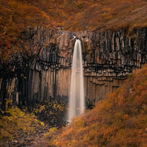 Waterfall over dark hexagonal basalt columns, surrounded by orange autumn foliage.