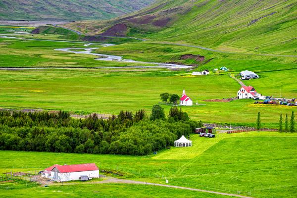 there are many houses in the middle of a lush green field .