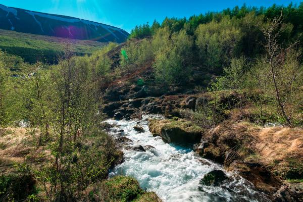 A rushing river flows through a vibrant green mountain landscape under a bright blue sky.