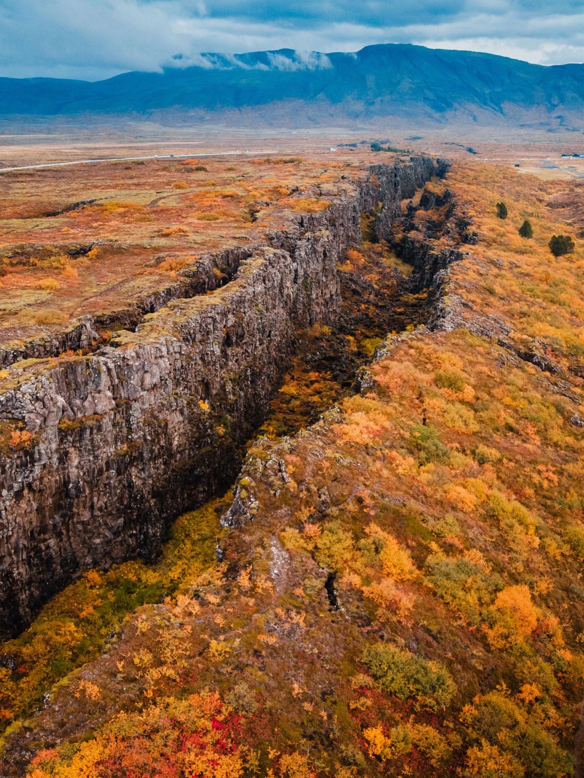 Deep canyon cutting through vibrant orange and yellow autumn foliage, with a winding road and distant mountains.