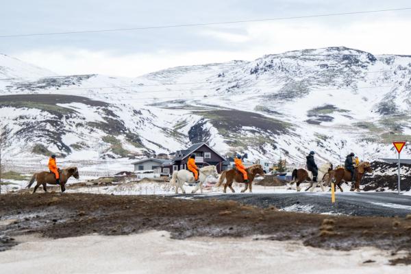 Horseback riding tour in Winter in Iceland