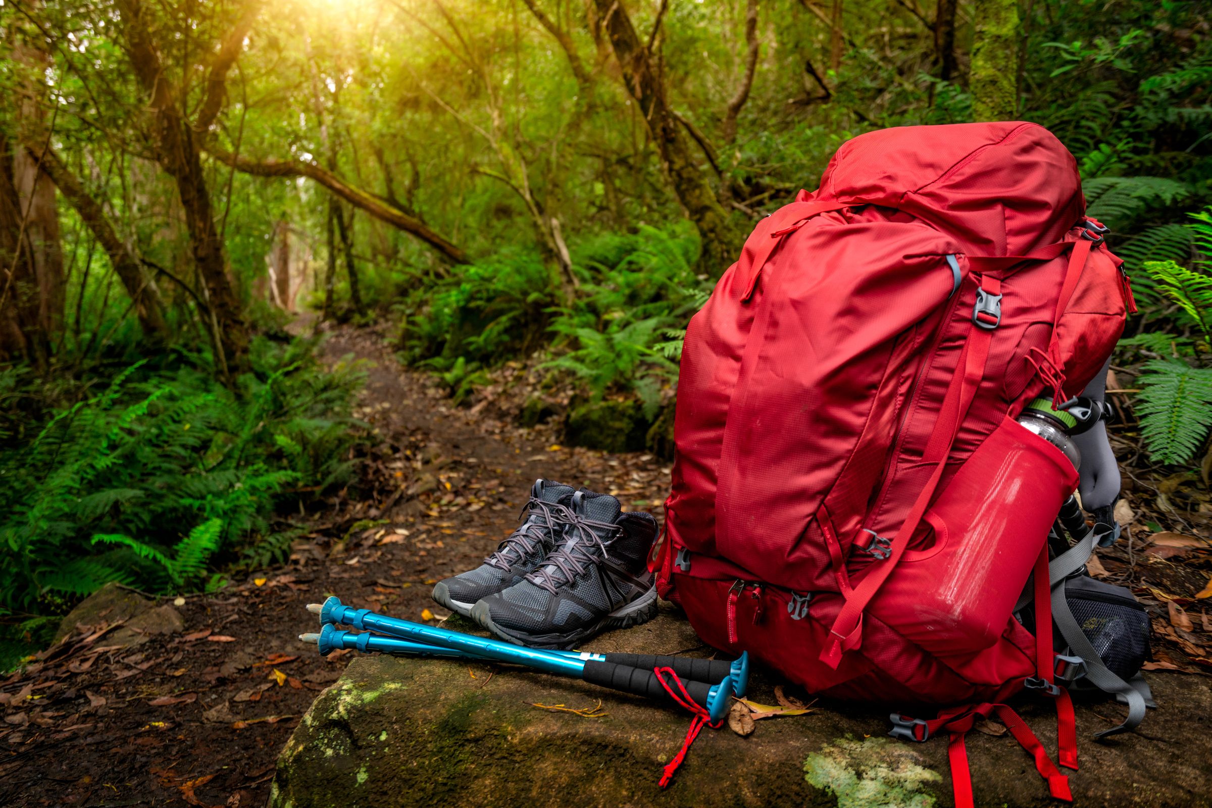 una mochila roja y accesorios de senderismo sobre una roca en un bosque