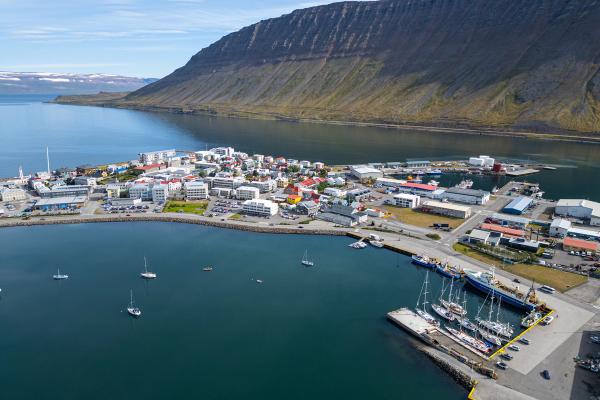 an aerial view of a harbor with boats docked in it and a mountain in the background .