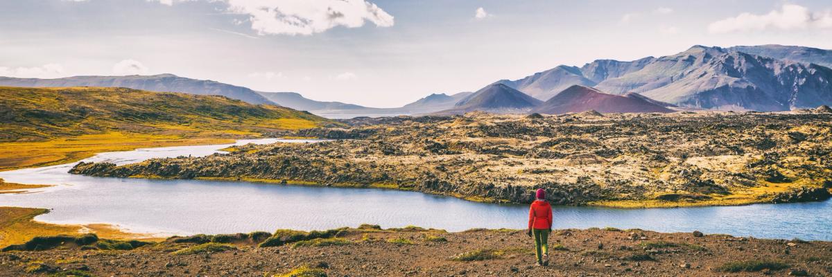 a man in a red jacket is standing on a hill overlooking a lake .