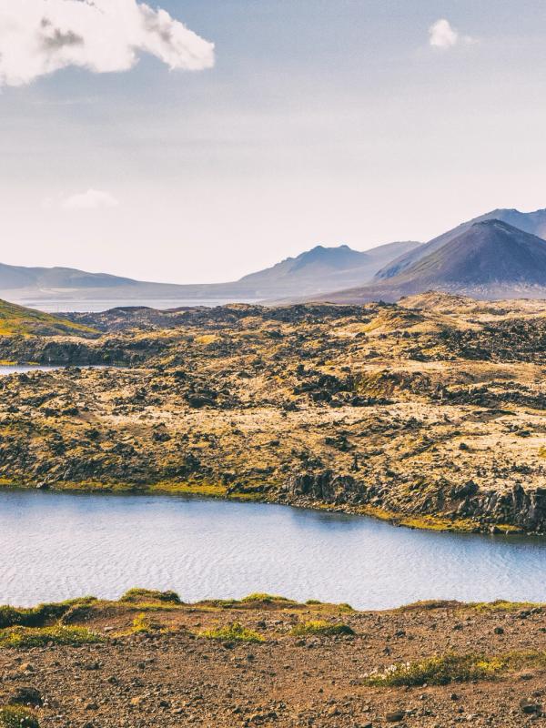 a man in a red jacket is standing on a hill overlooking a lake .