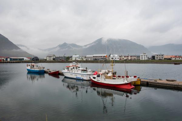 Several boats docked in a calm harbor with a coastal town and mountains partially hidden by clouds.