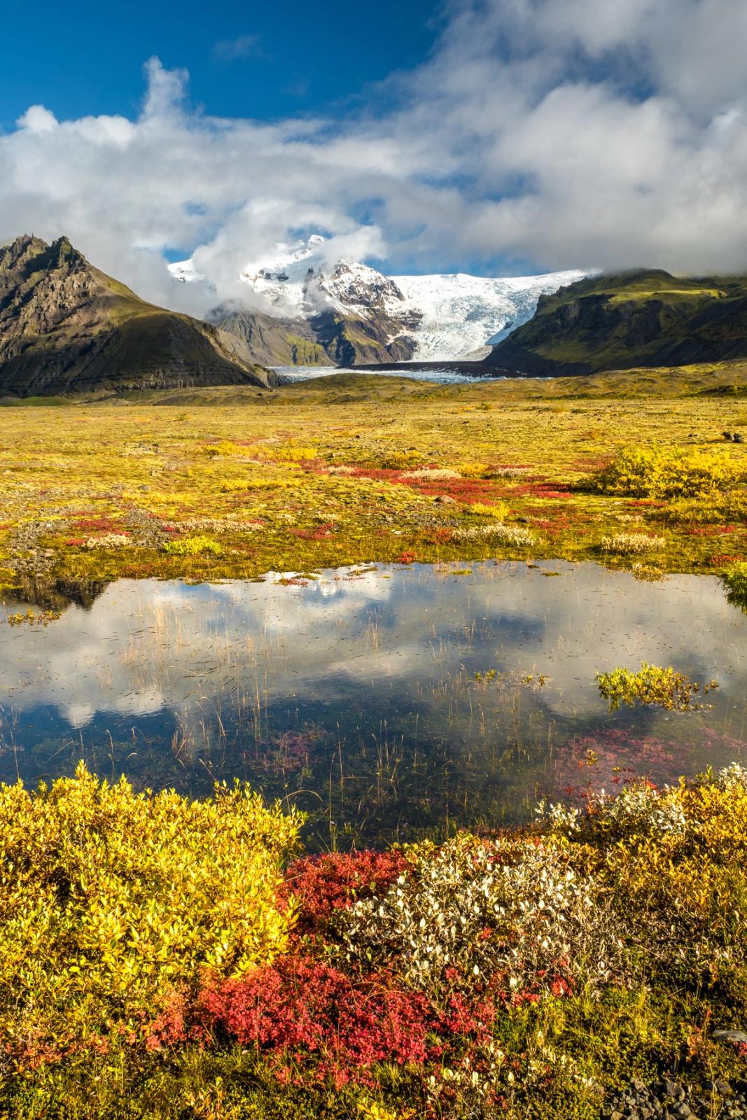 A colorful autumn landscape with a pond reflecting the sky, surrounded by vibrant red, yellow, and white vegetation, with a glacier and rocky mountains in the background.