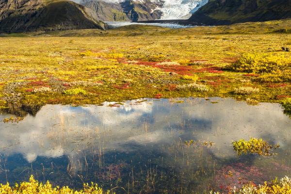 A colorful autumn landscape with a pond reflecting the sky, surrounded by vibrant red, yellow, and white vegetation, with a glacier and rocky mountains in the background.