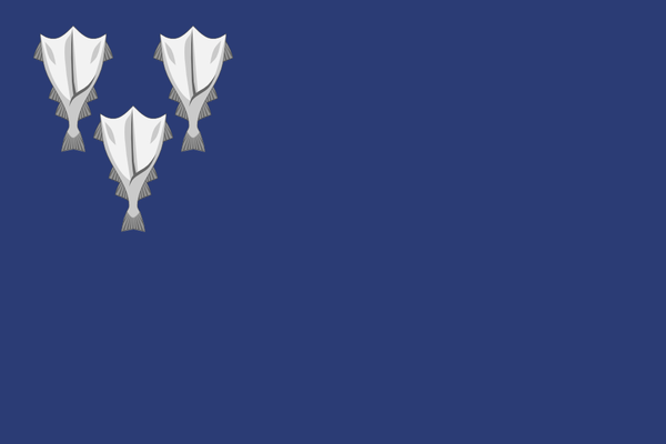 La bandera nacional de Islandia en 1809 por Jorgen Jorgensen