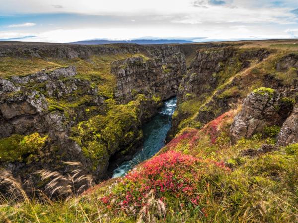 a river flowing through a canyon surrounded by rocks and grass .
