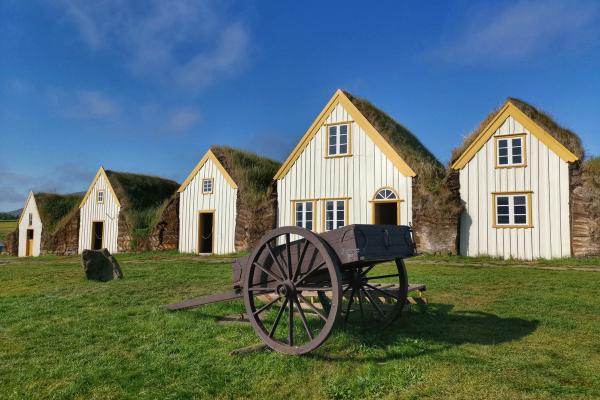 a horse drawn carriage is parked in front of a row of houses with grass on the roofs .