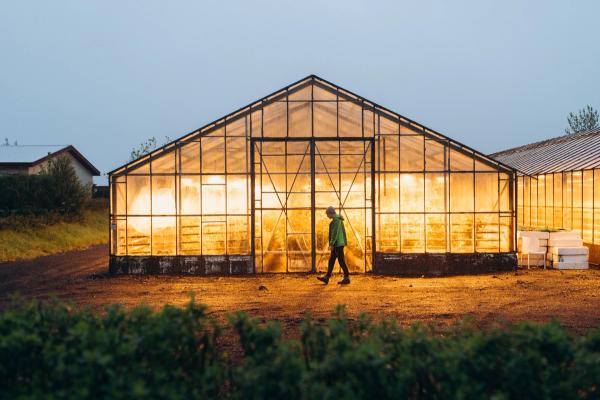 a person in front of an illuminated greenhouse