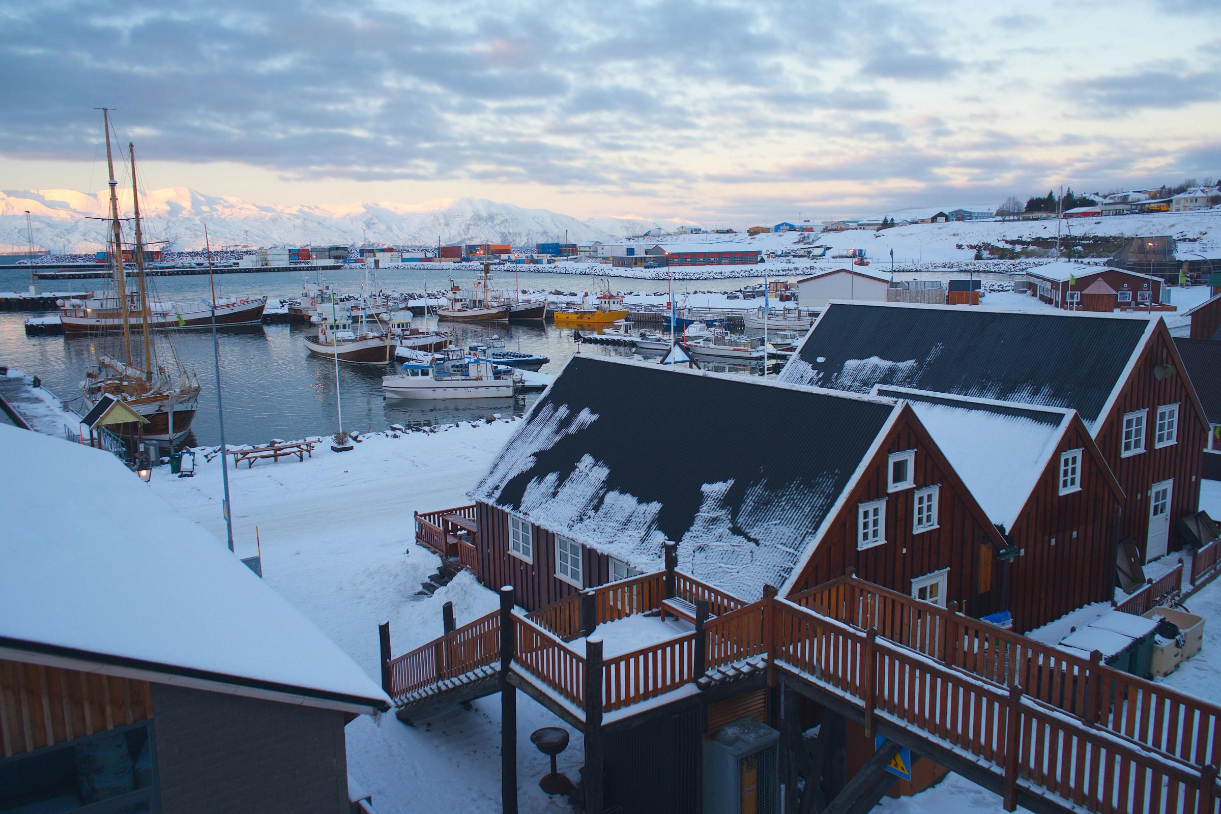 Húsavík's harbor in winter