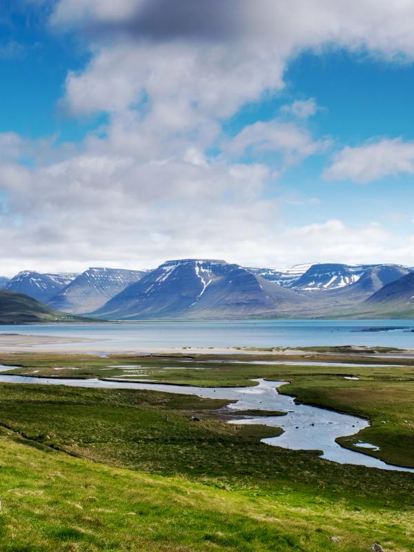 a river flowing through a grassy field with mountains in the background .