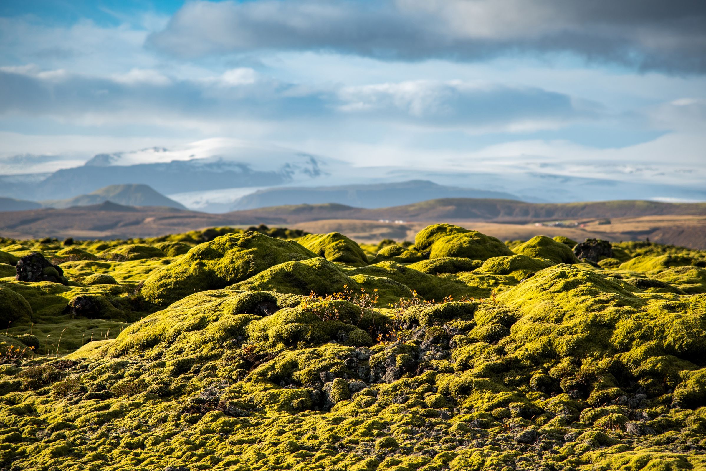 Extensos paisajes con musgo verde brillante en primer plano, que conducen a colinas y montañas distantes con picos nevados bajo un cielo parcialmente nublado.