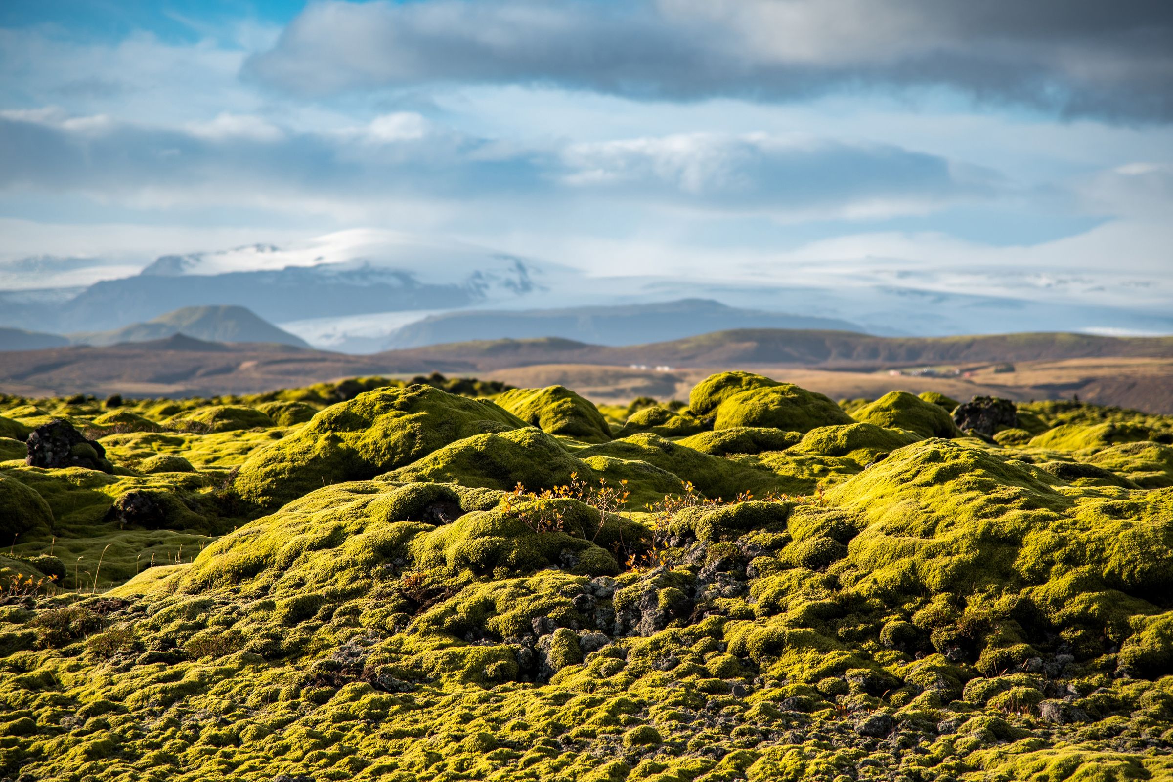 Extensos paisajes con musgo verde brillante en primer plano, que conducen a colinas y montañas distantes con picos nevados bajo un cielo parcialmente nublado.