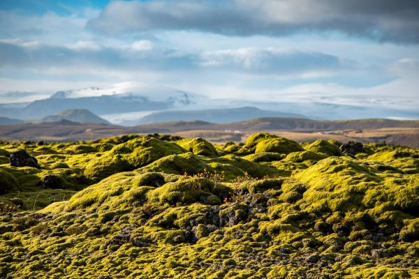 Vast landscape with bright green moss in the foreground, leading to hills and distant snow-capped mountains under a partly cloudy sky.