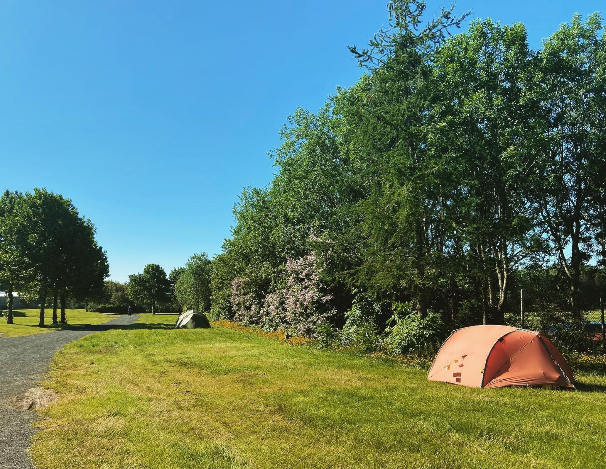Tents in a green field surrounded by trees
