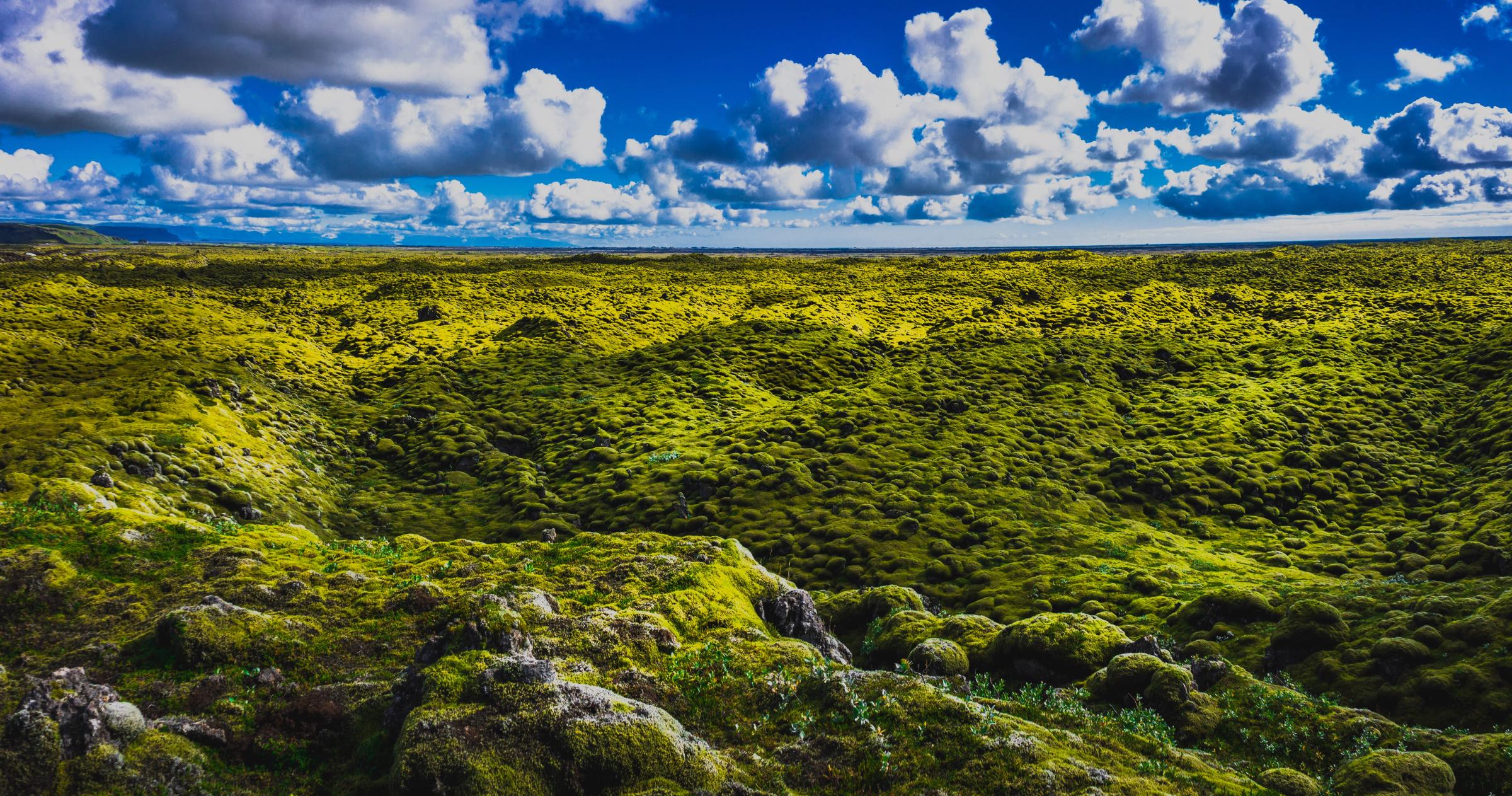 a lush green field with a blue sky and clouds in the background .