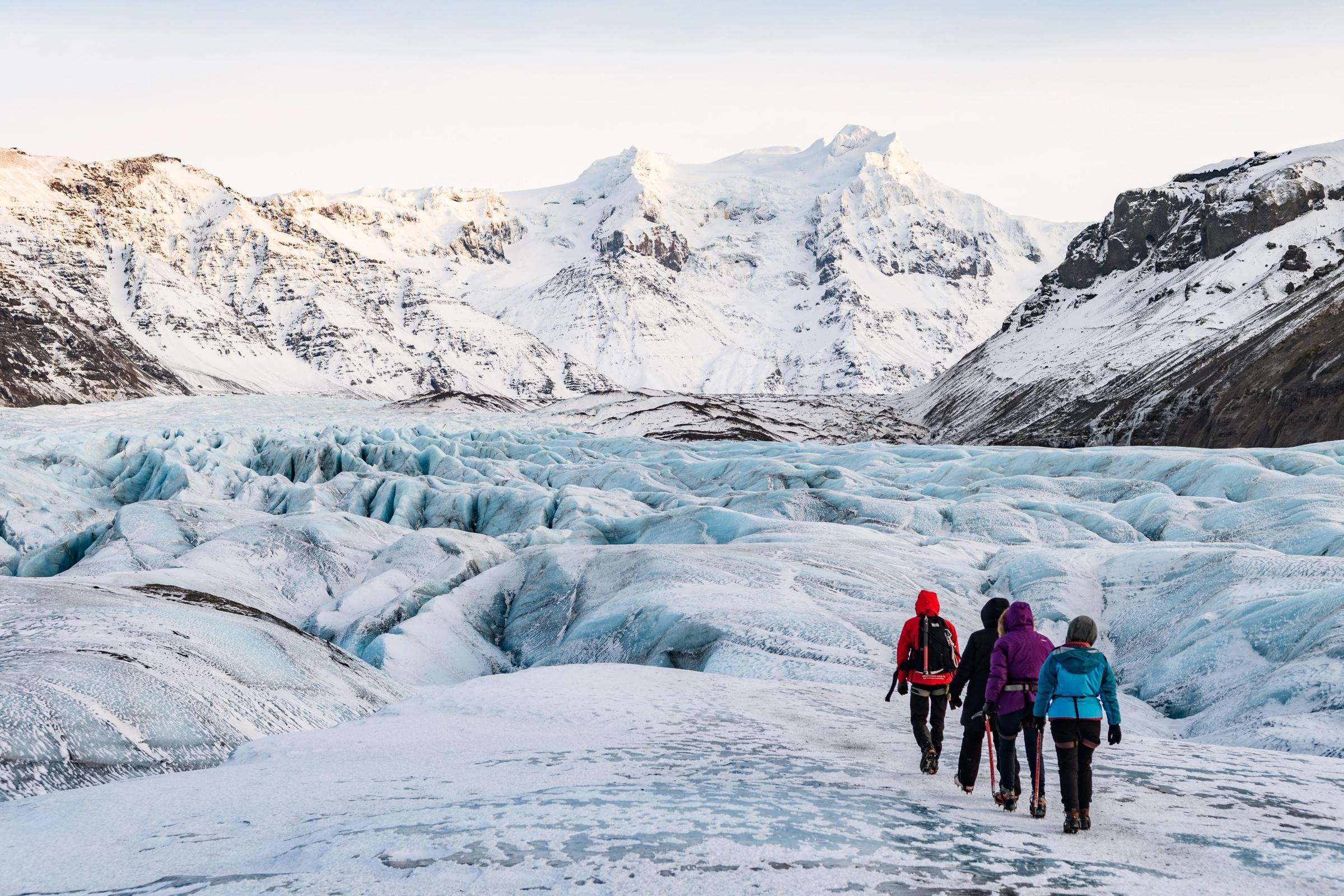 Four people hike across a blue glacier with snow-capped mountains in the background.