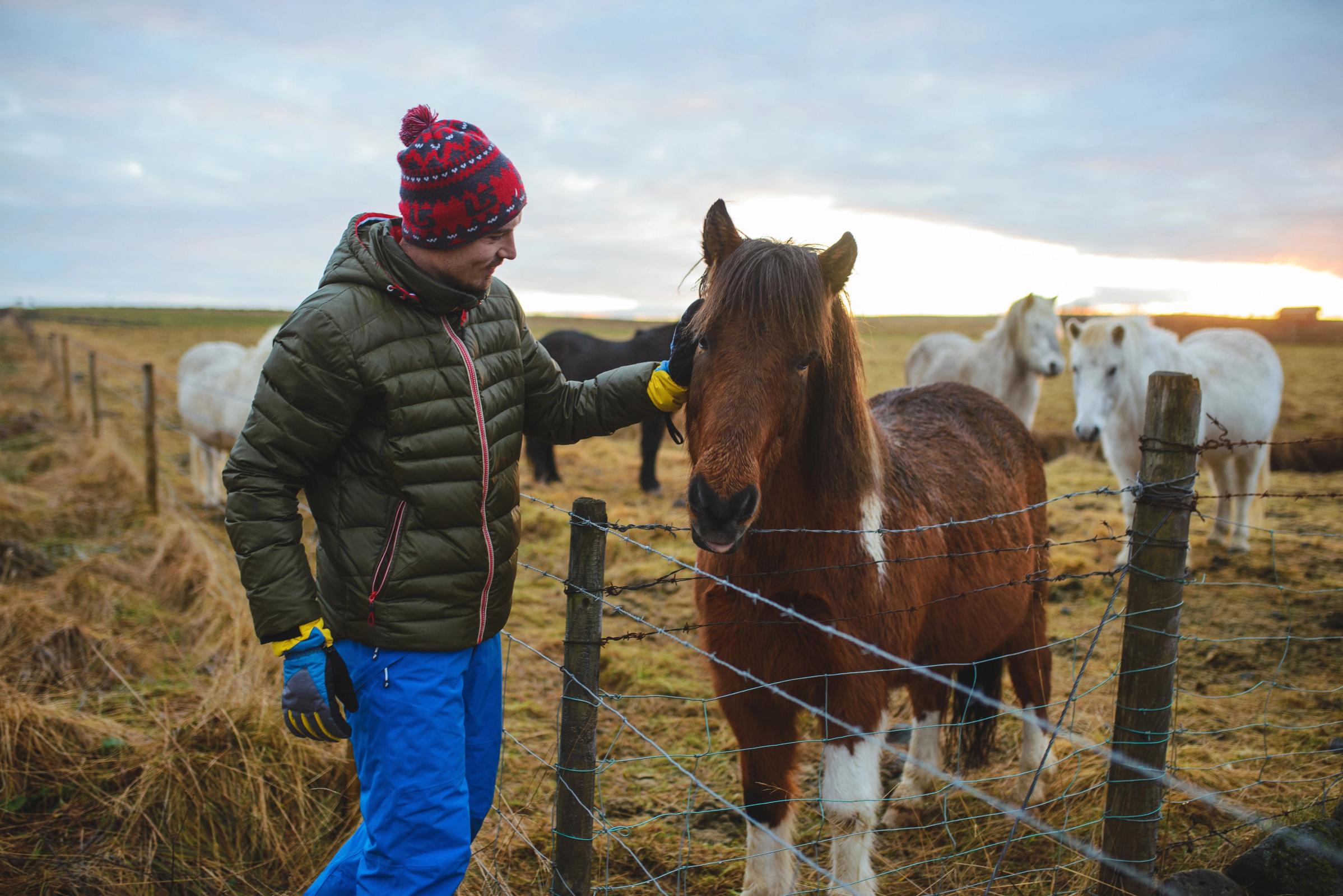 Exploring Iceland in October - waterproof clothes, golden circle, bus tours, north Iceland