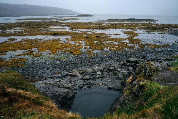 A rocky coastline with a small foreground pool, shallow water filled with orange seaweed, and distant hills under a grey sky.