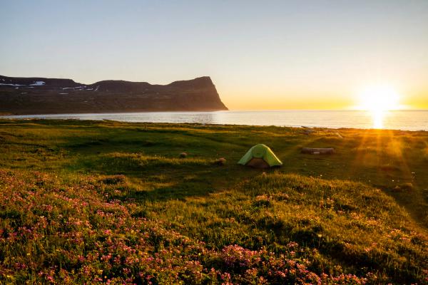 una tienda de campaña verde está situada en la cima de un campo herboso cerca del océano al atardecer.