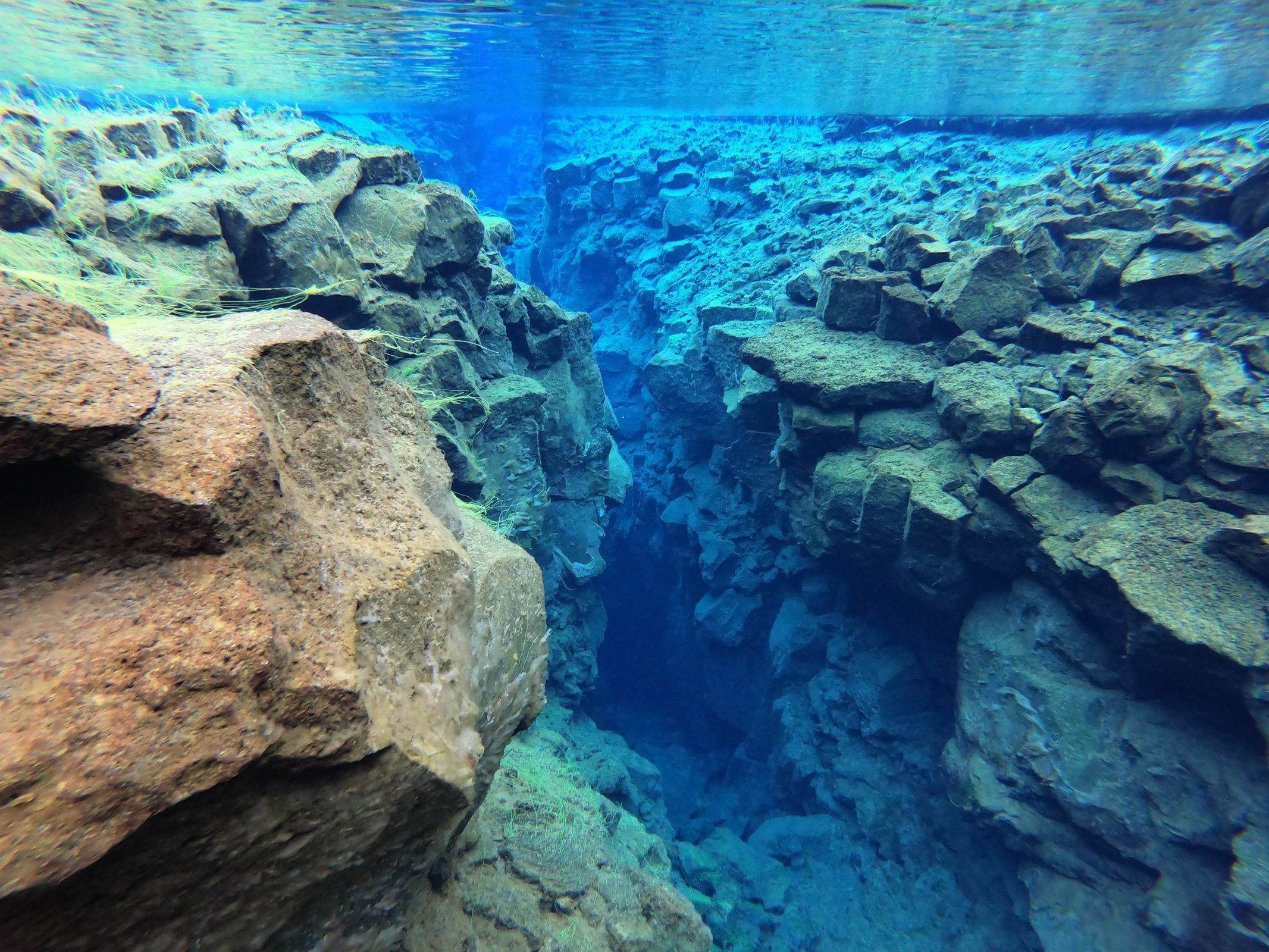 a underwater view of a rocky reef in the ocean .