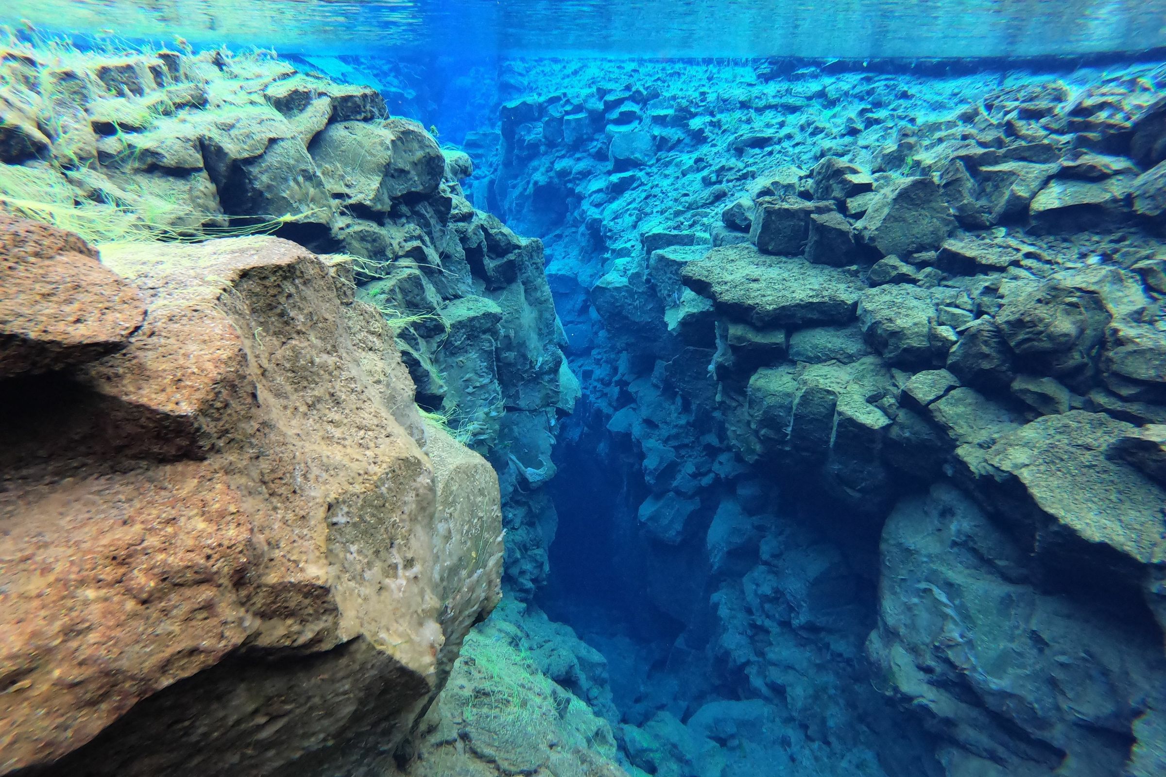 a underwater view of a rocky reef in the ocean .