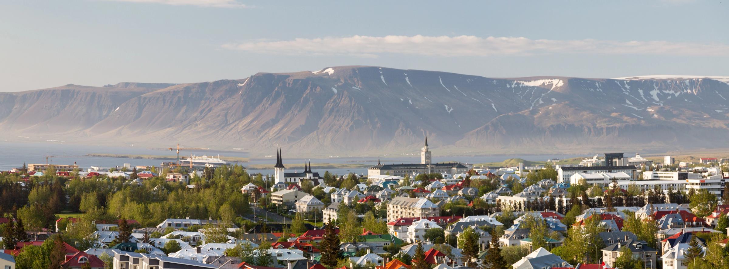 an aerial view of a city with a mountain in the background .