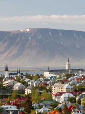 an aerial view of a city with a mountain in the background .