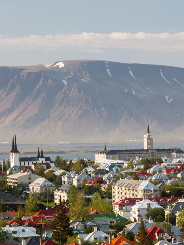 an aerial view of a city with a mountain in the background .