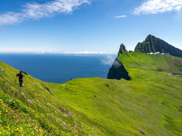 A person hikes a vibrant green hillside overlooking the ocean, with dramatic cliffs and mountains in the background.