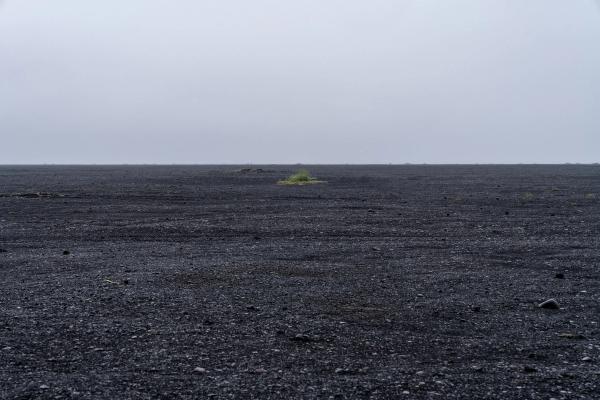 Vast black sand plain under an overcast sky, with a small patch of green growth.