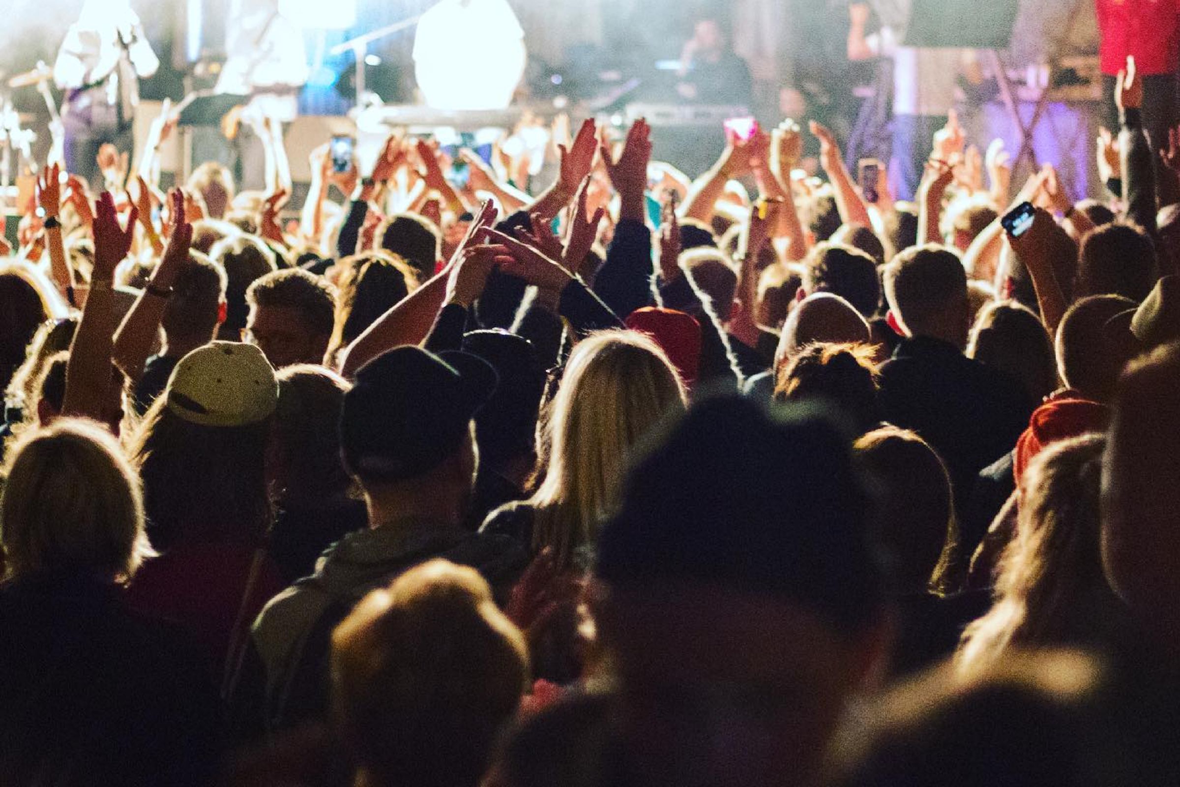 una multitud de personas en un concierto con las manos en el aire