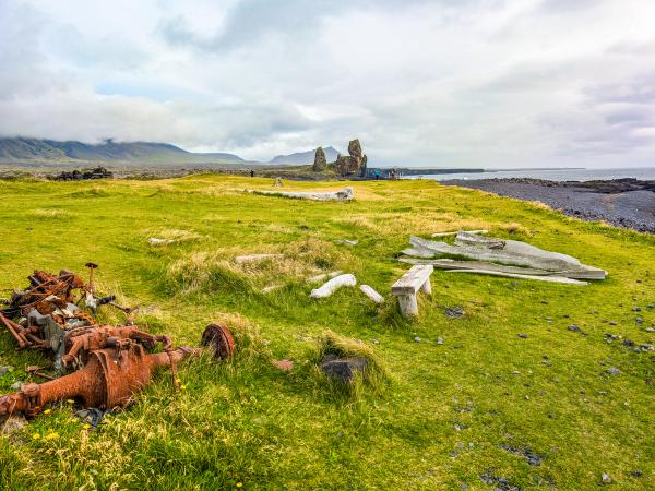 there is a bench in the middle of a grassy field .
