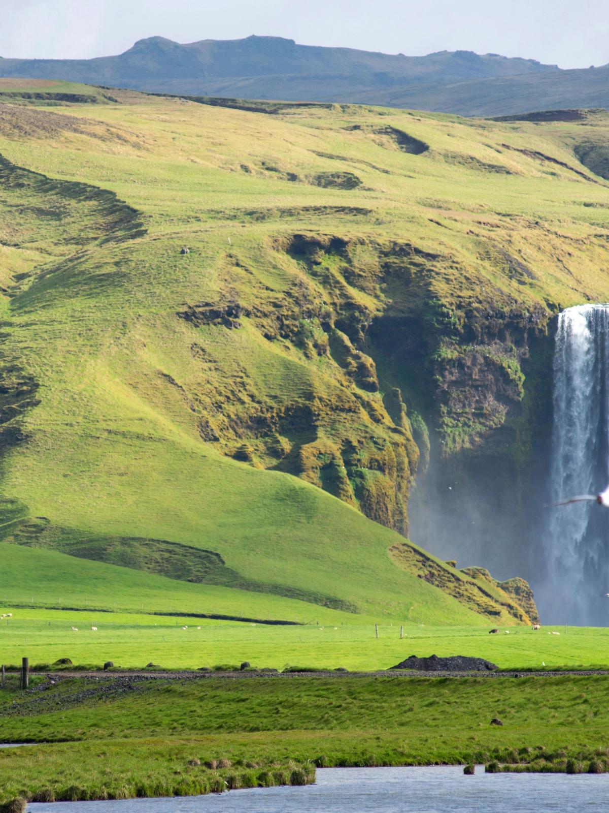 A tall waterfall descends into a lush green valley, with a steep rocky cliff on the left and a bird soaring.