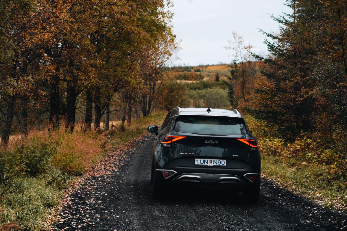 Kia Sportage 4x4 bílaleigubíll á malarvegi í skógi á Íslandi, séður aftan frá